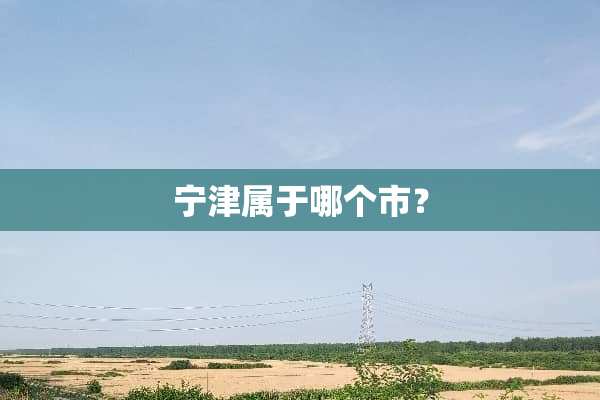 宁津属于哪个市？