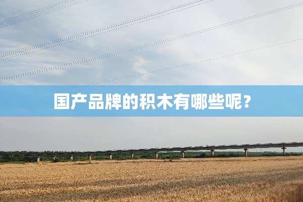 国产品牌的积木有哪些呢？