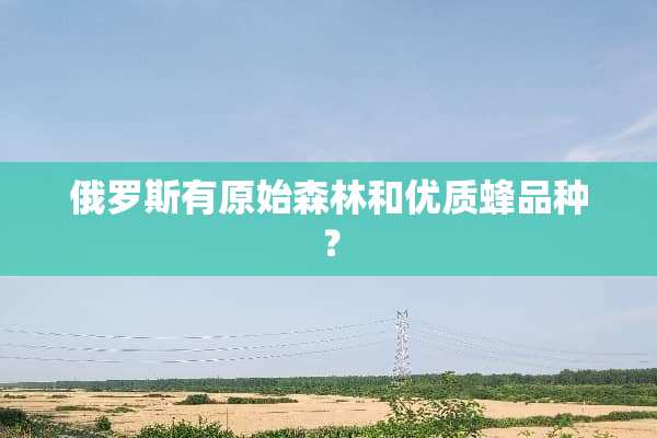 俄罗斯有原始森林和优质蜂品种？