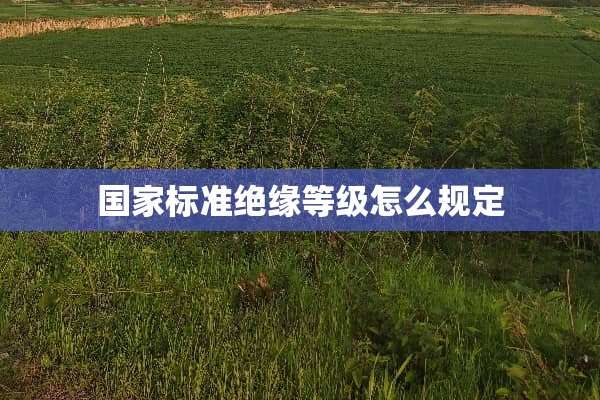国家标准绝缘等级怎么规定