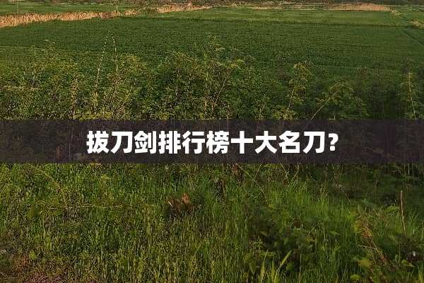 拔刀剑排行榜十大**？