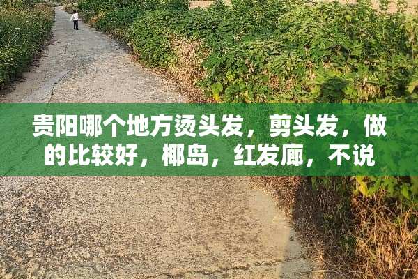 贵阳哪个地方烫头发，剪头发，做的比较好，椰岛，红发廊，不说了，学徒那么多？