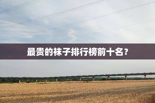 最贵的袜子排行榜前十名？