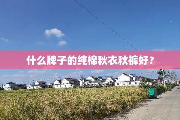 什么牌子的纯棉秋衣秋裤好？