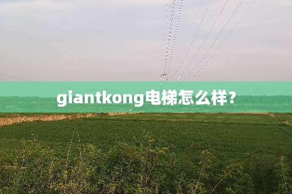 giantkong电梯怎么样？