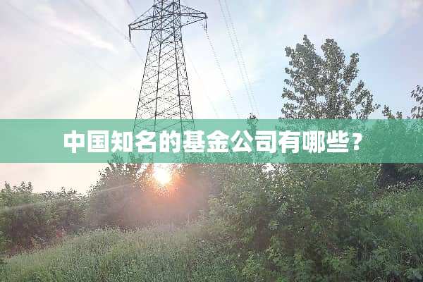 中国知名的基金公司有哪些？
