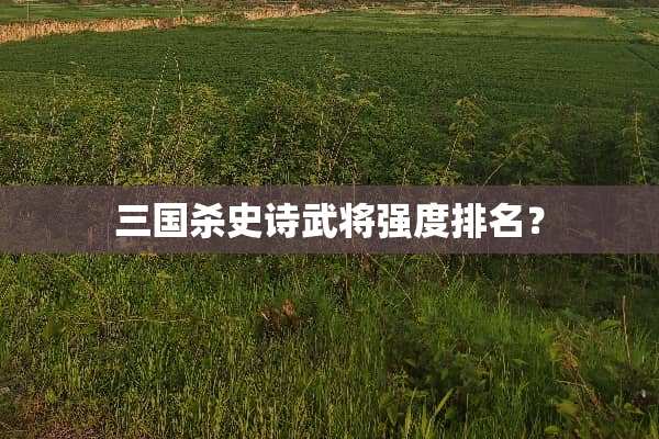 三国杀史诗武将强度排名？
