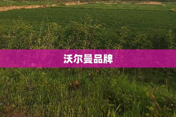 沃尔曼品牌