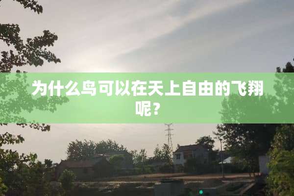 为什么鸟可以在天上自由的飞翔呢？