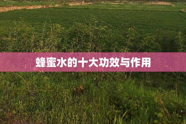 蜂蜜水的十大功效与作用