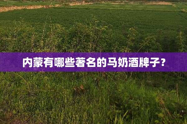 内蒙有哪些著名的马奶酒牌子？