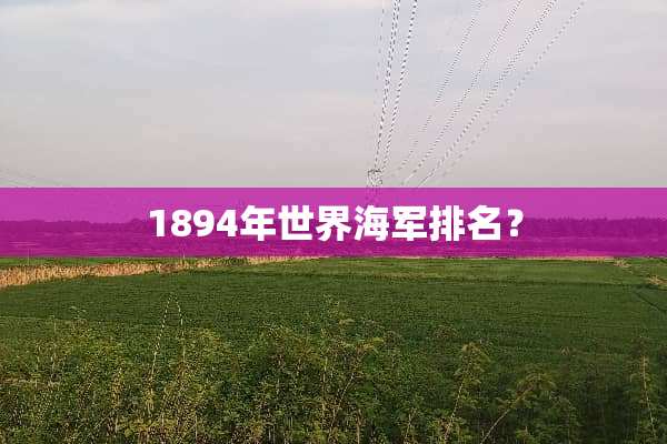 1894年世界海军排名？
