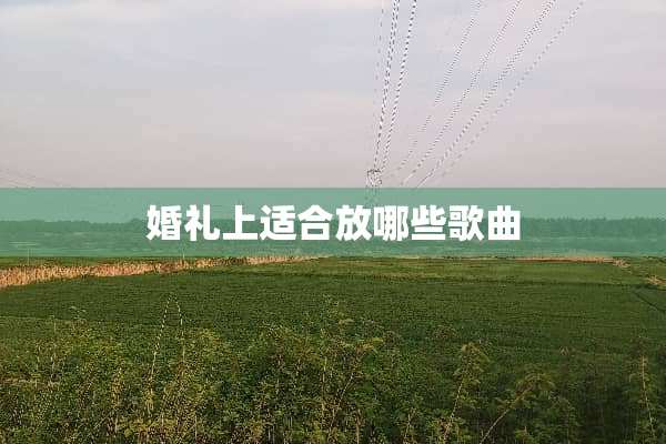 婚礼上适合放哪些歌曲