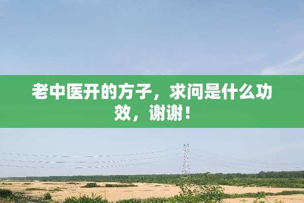 老中医开的方子，求问是什么功效，谢谢！