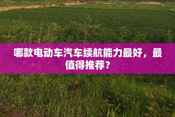 哪款电动车汽车续航能力最好，最值得推荐？