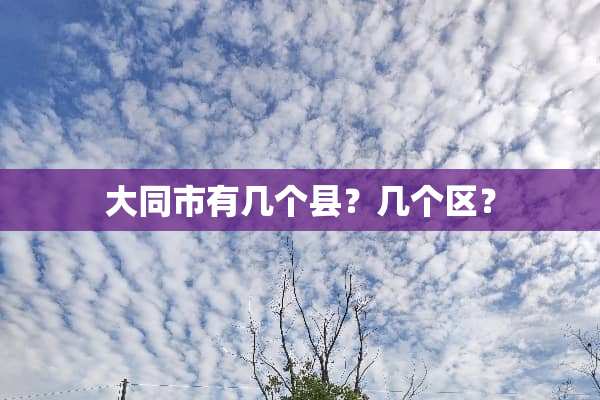 大同市有几个县？几个区？