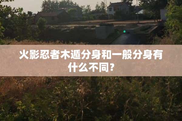 火影忍者木遁分身和一般分身有什么不同？