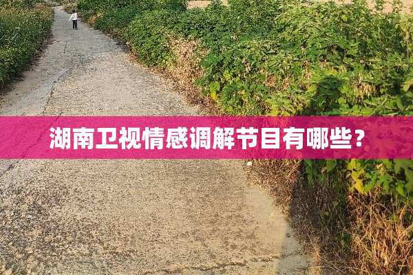 湖南卫视情感调解节目有哪些？