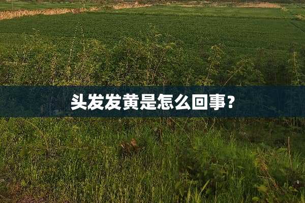 头发发黄是怎么回事？