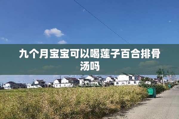 九个月宝宝可以喝莲子百合排骨汤吗