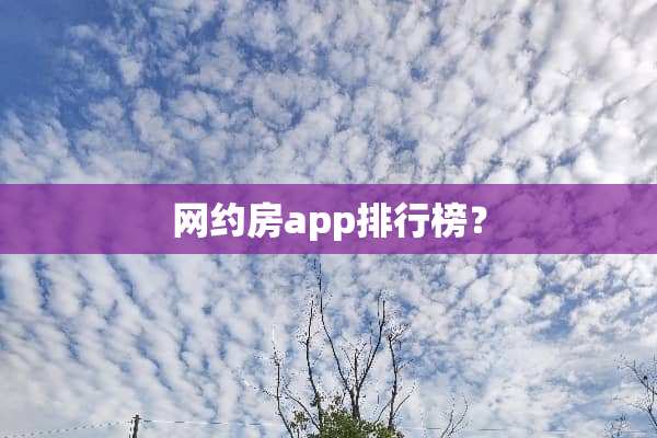 网约房app排行榜？