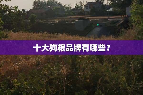 十大狗粮品牌有哪些？