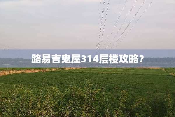 路易吉鬼屋314层楼攻略？