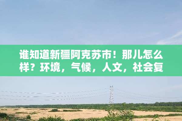 谁知道新疆阿克苏市！那儿怎么样？环境，气候，人文，社会复杂度！