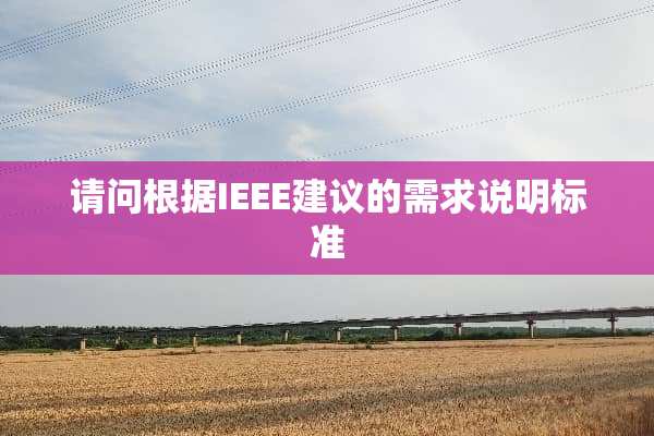 请问根据IEEE建议的需求说明标准