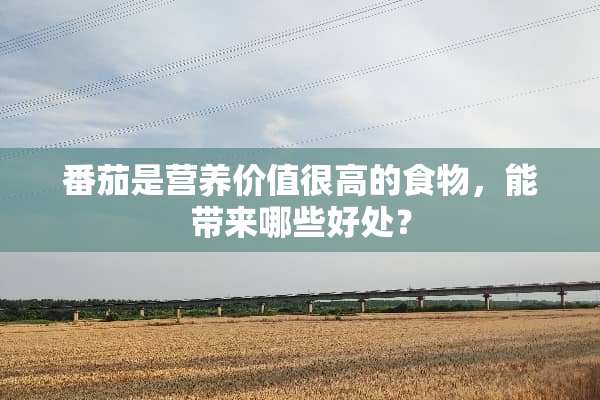 番茄是营养价值很高的食物，能带来哪些好处？
