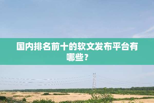 国内排名前十的软文发布平台有哪些？