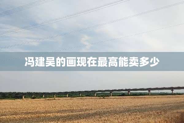 冯建吴的画现在最高能卖多少