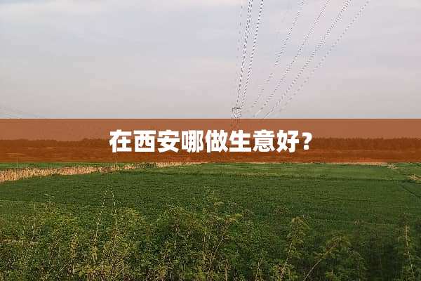 在西安哪做生意好？
