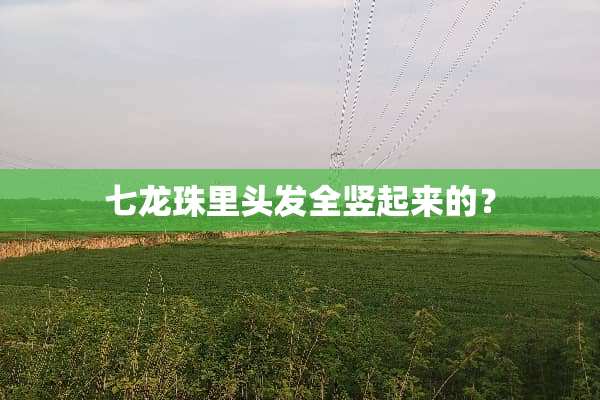 七龙珠里头发全竖起来的？