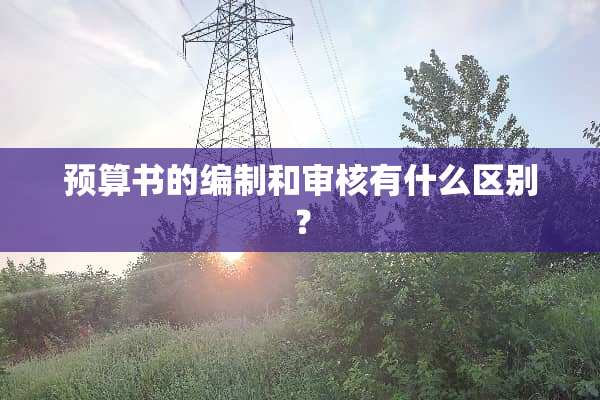 预算书的编制和审核有什么区别？