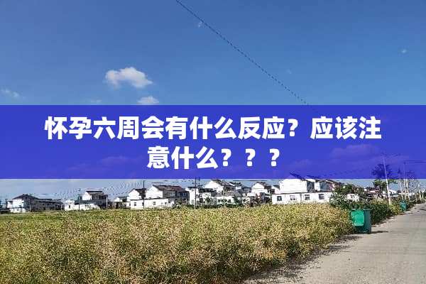 怀孕六周会有什么反应？应该注意什么？？？