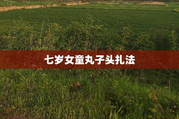 七岁女童丸子头扎法