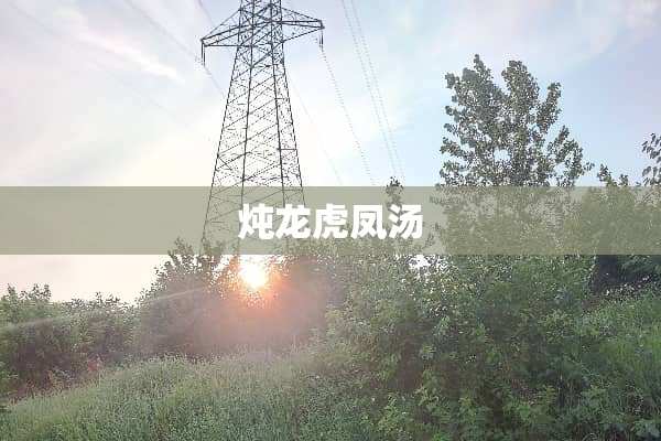 炖龙虎凤汤