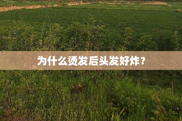 为什么烫发后头发好炸？