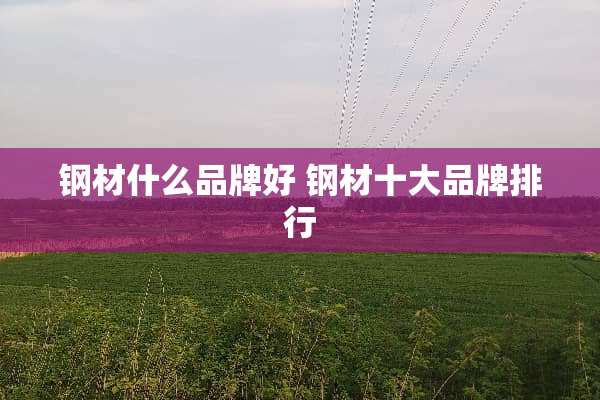 钢材什么品牌好 钢材十大品牌排行