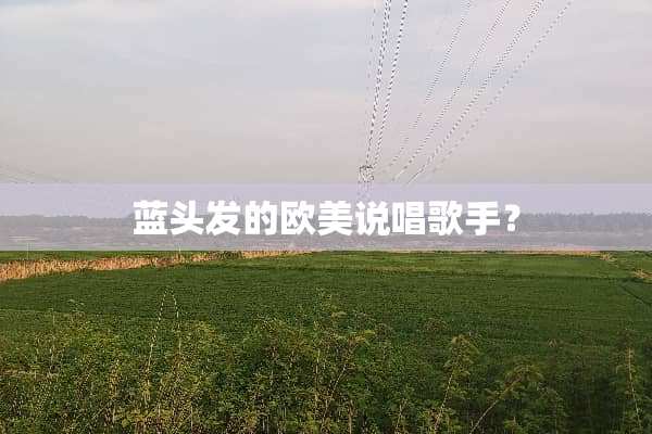 蓝头发的欧美说唱歌手？