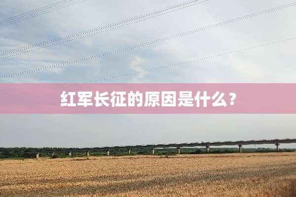**长征的原因是什么？