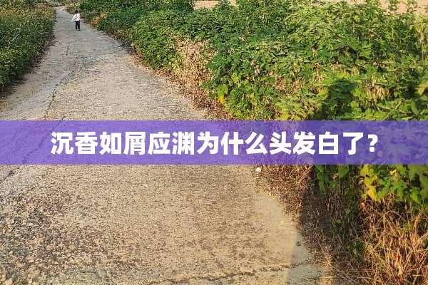 沉香如屑应渊为什么头发白了？