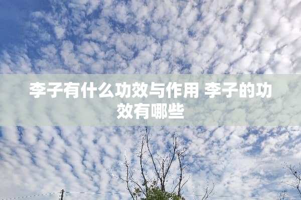 李子有什么功效与作用 李子的功效有哪些