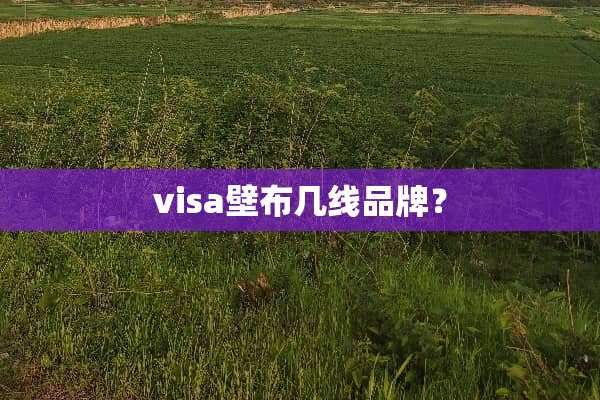 visa壁布几线品牌？