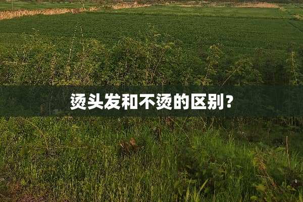 烫头发和不烫的区别？