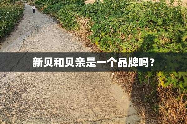 新贝和贝亲是一个品牌吗？