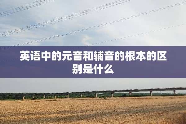 英语中的元音和辅音的根本的区别是什么