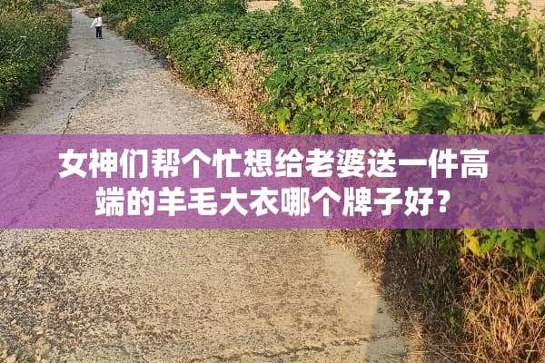 女神们帮个忙想给老婆送一件高端的羊毛大衣哪个牌子好？