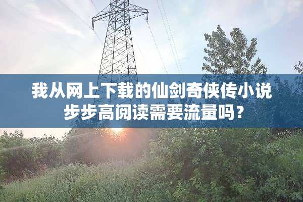 我从网上下载的仙剑奇侠传小说 步步高阅读需要流量吗？